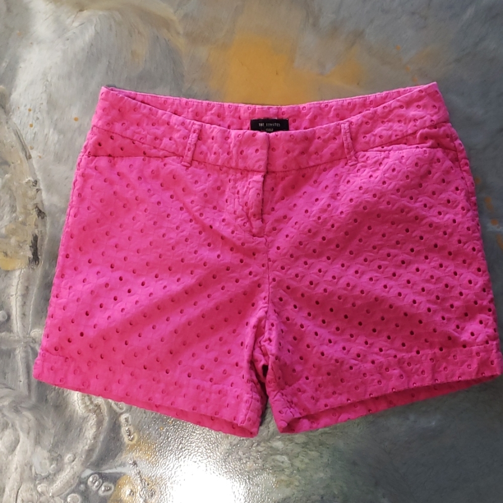 Women's Shorts, The Limited Size 12